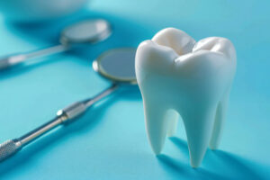 white tooth model and dental tools